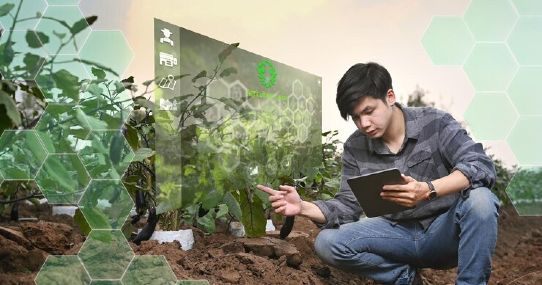 Skill Set Anak Muda di Era Pertanian Cerdas (Sumber gambar: Freepik) Skill Set Anak Muda di Era Pertanian Cerdas (Sumber gambar: Freepik)
