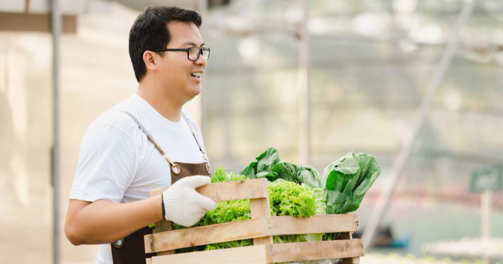 Skill set yang dimiliki generasi muda untuk menjadi petani (Foto Freepik.com) Skill set yang dimiliki generasi muda untuk menjadi petani (Foto Freepik.com)