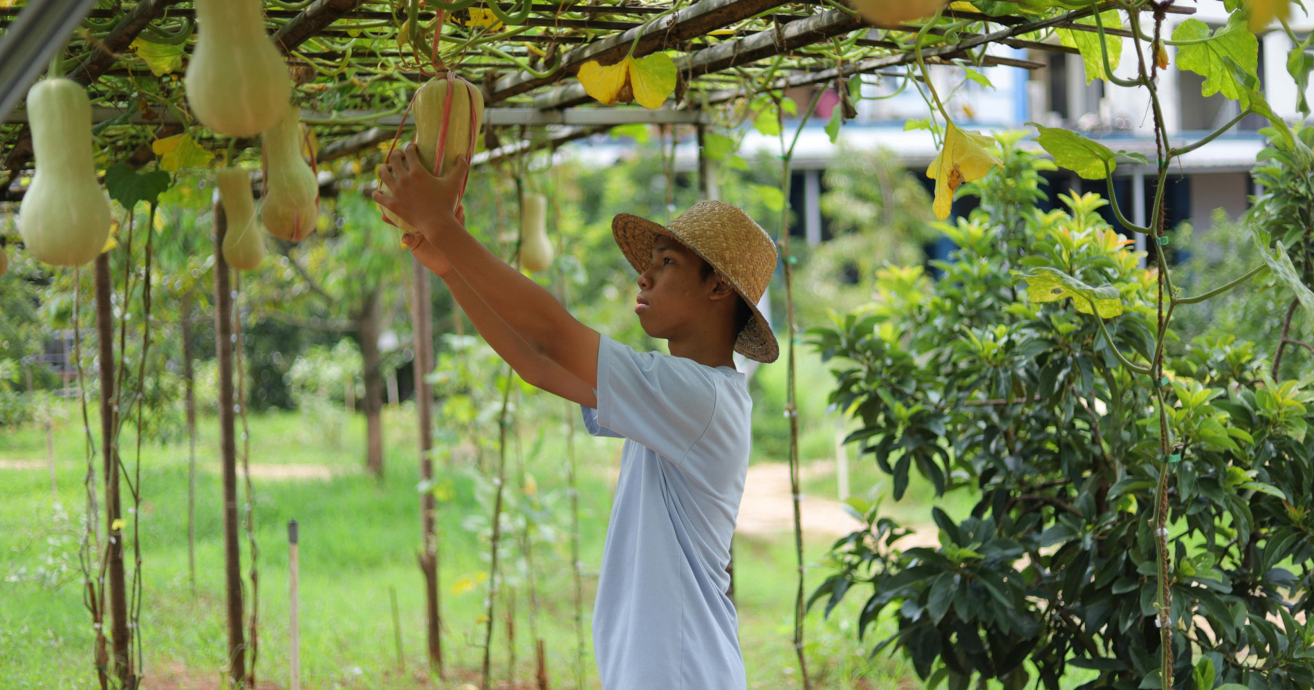 Petani Muda mendukung ketahanan pangan (Sumber Gambar: SenzaOrostix Husain Umar dari pexels.com) Petani Muda mendukung ketahanan pangan (Sumber Gambar: SenzaOrostix Husain Umar dari pexels.com)