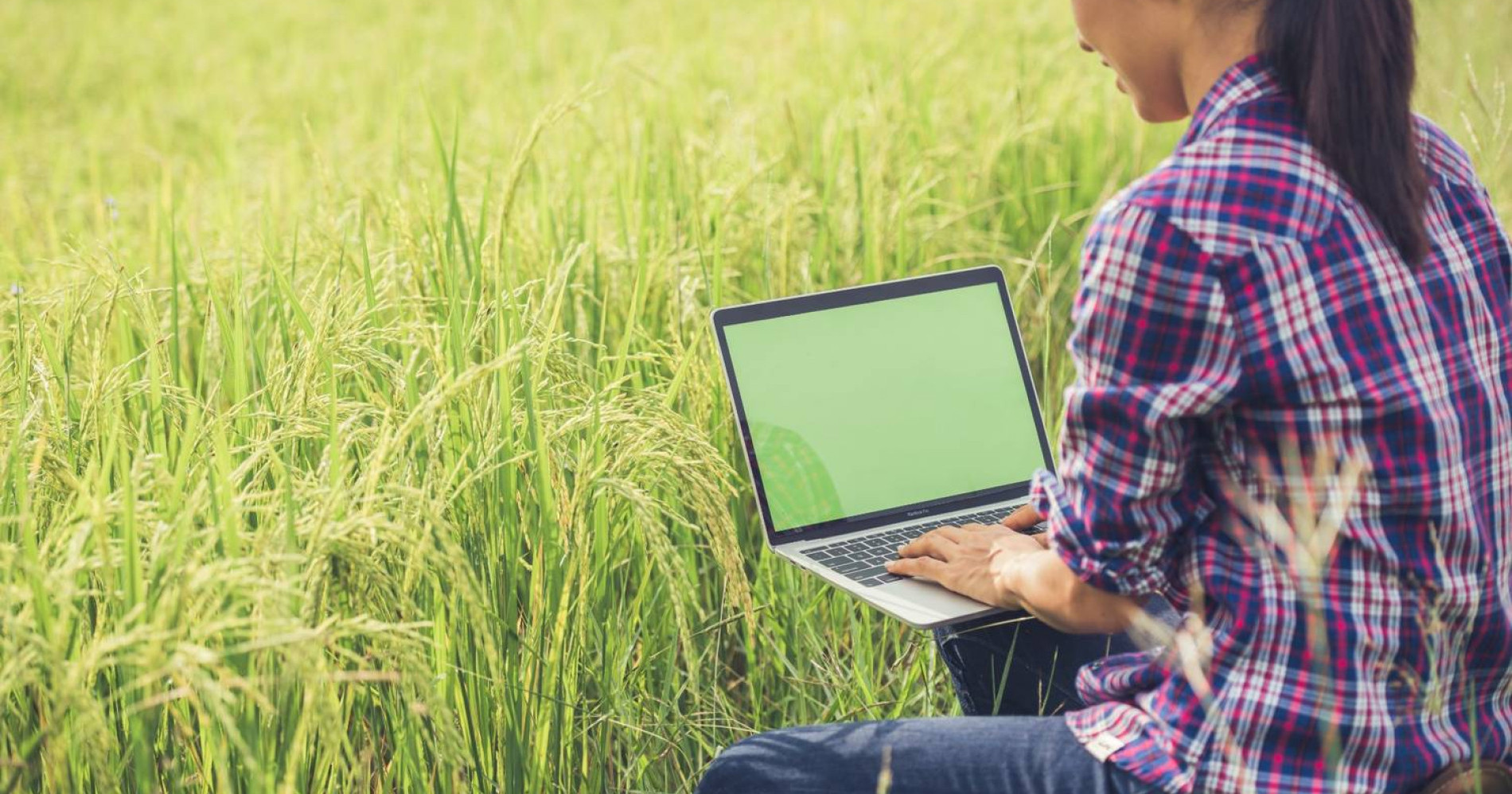 Petani adalah profesi masa depan anak muda (Sumber:freepik.com) Petani adalah profesi masa depan anak muda (Sumber:freepik.com)