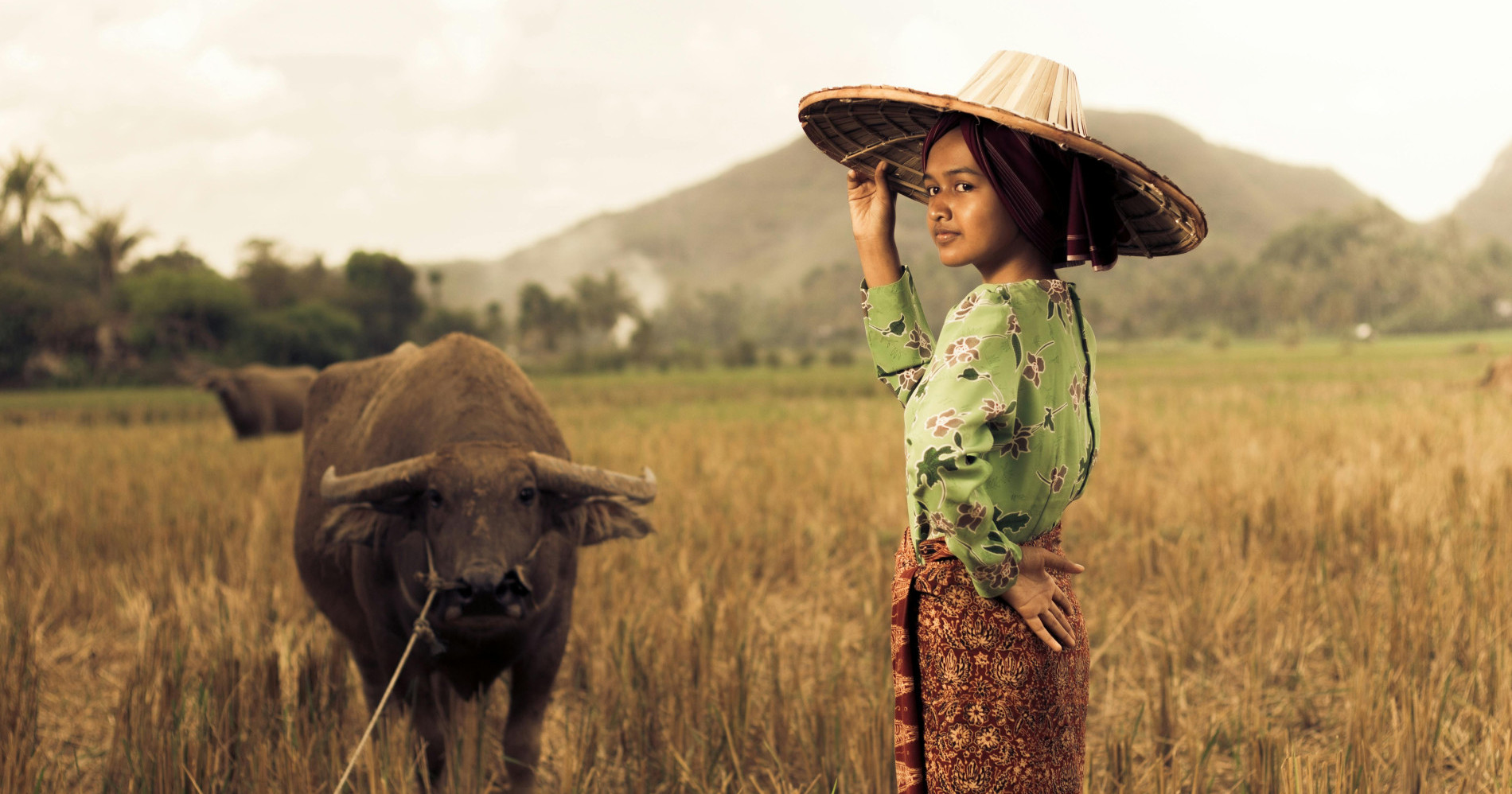 Peranan Penting Pertanian Untuk Penduduk Indonesia. Foto oleh Ihsan Adityawarman :  (https://www.pexels.com