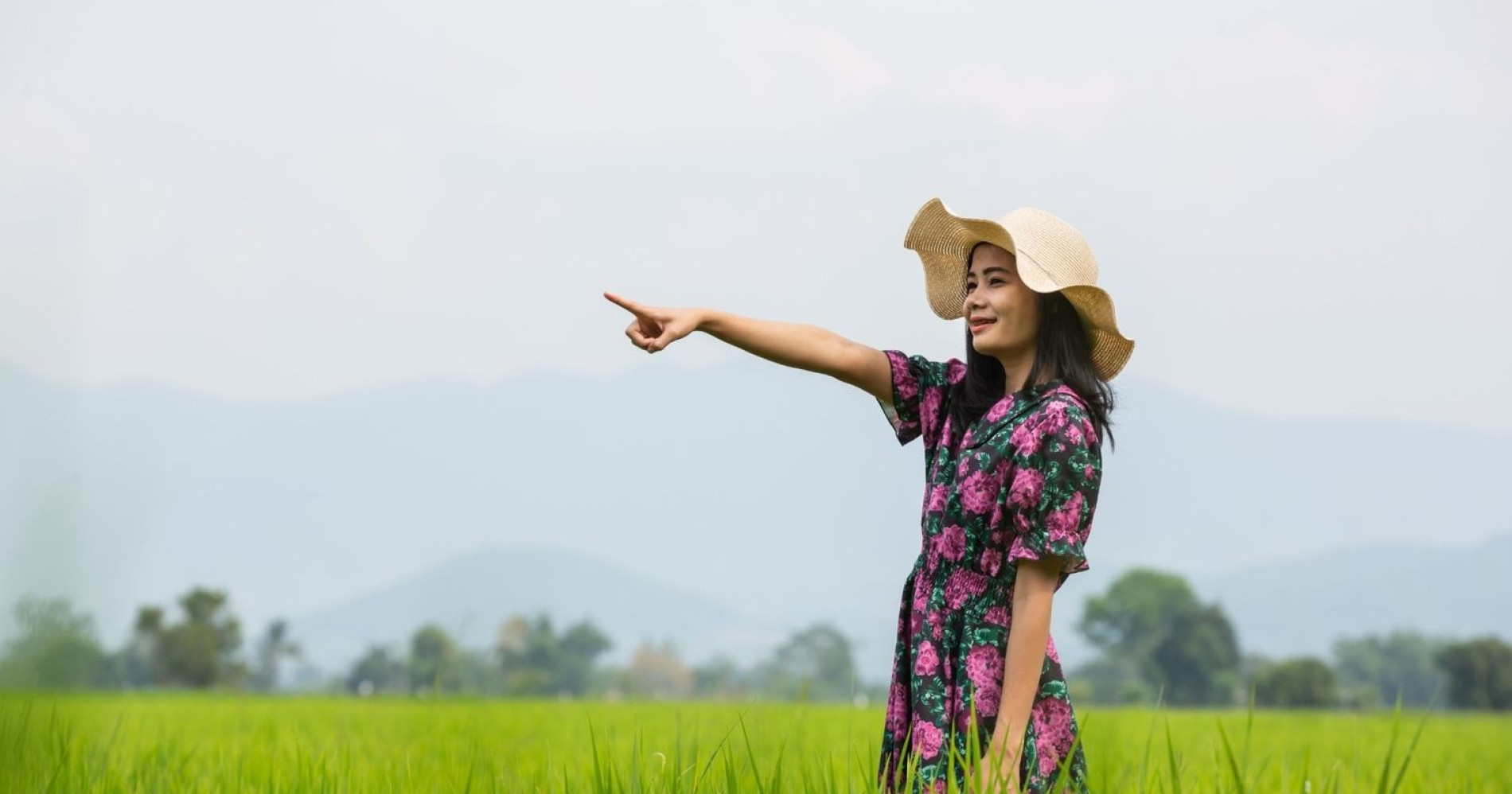 Melihat proses dari padi ke nasi (Sumber: freepik.com)