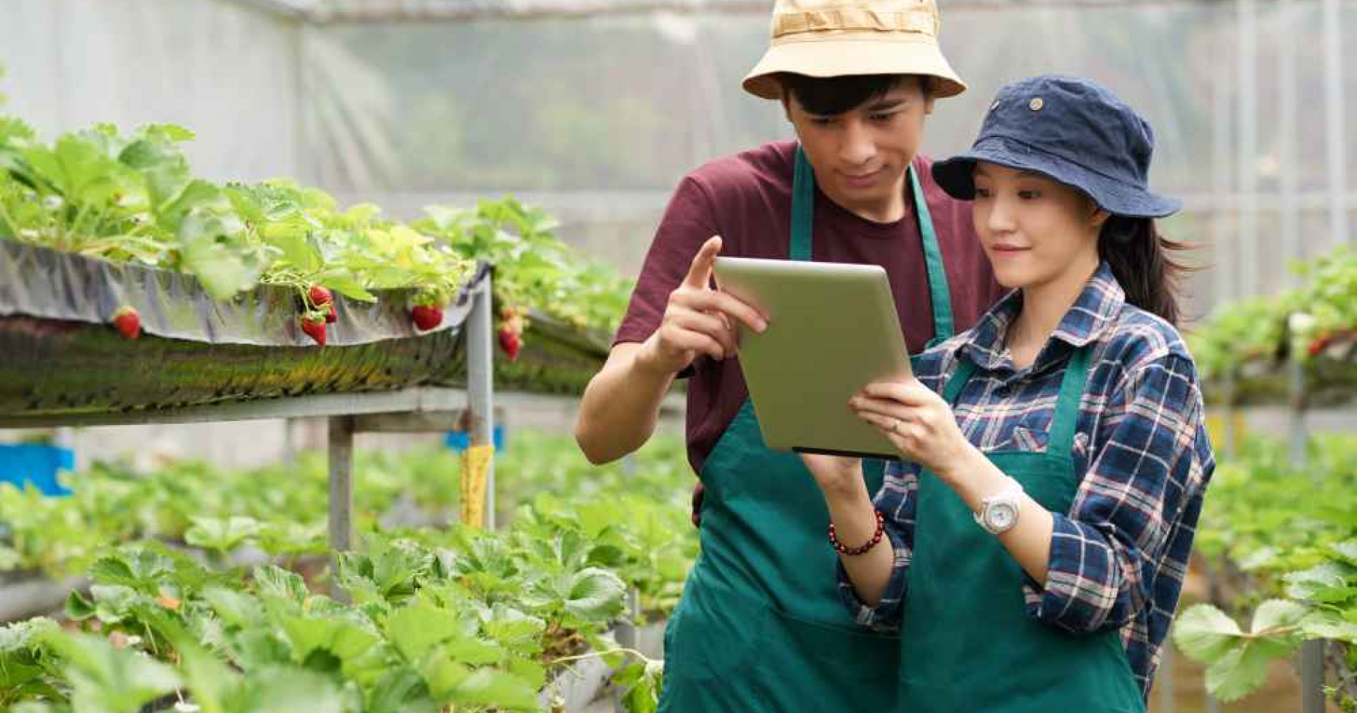 Ilustrasi anak muda mendukung ketahanan pangan (Foto Freepik.com) Ilustrasi anak muda mendukung ketahanan pangan (Foto Freepik.com)