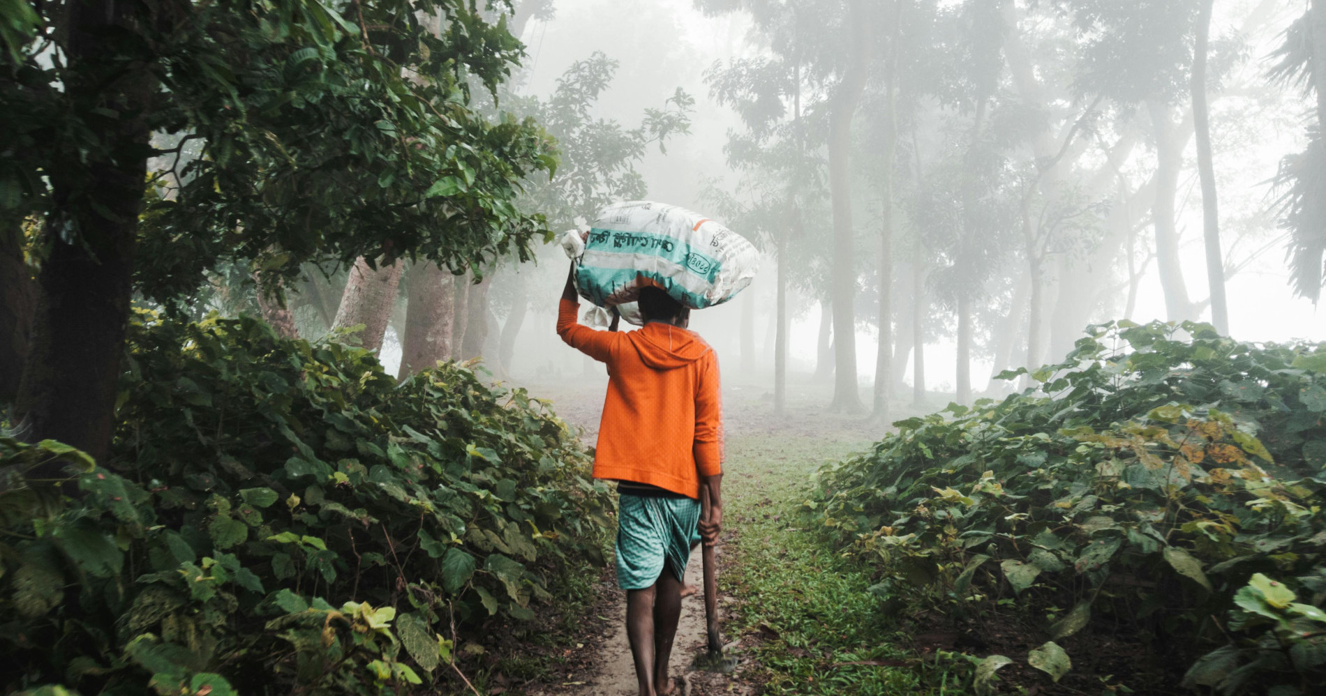 Tetap Bertani Untuk Memenuhi Kebutuhan Pangan Walaupun Kondisi Cuaca Sedang Tidak Baik-baik Saja. Sumber foto : Foto oleh Adil Ahnaf : (https://www.pexels.com)