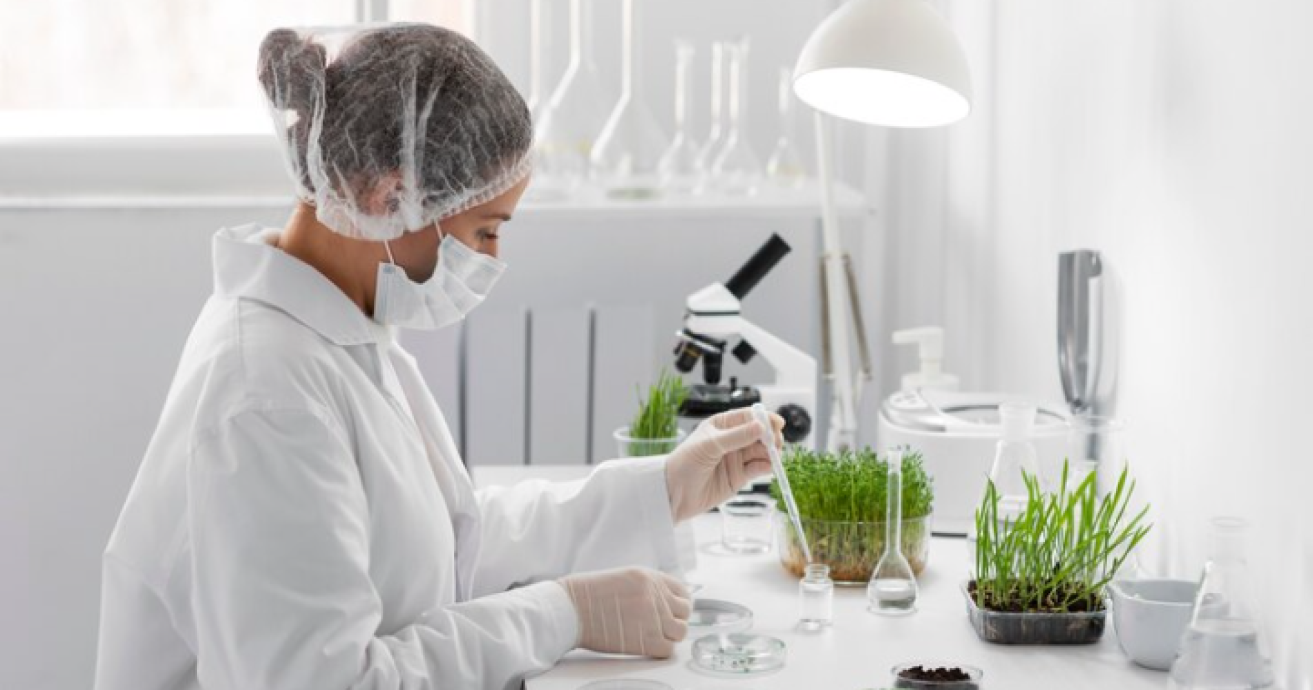 Laboratorium dan riset pertanian. Freepik.com Laboratorium dan riset pertanian. Freepik.com