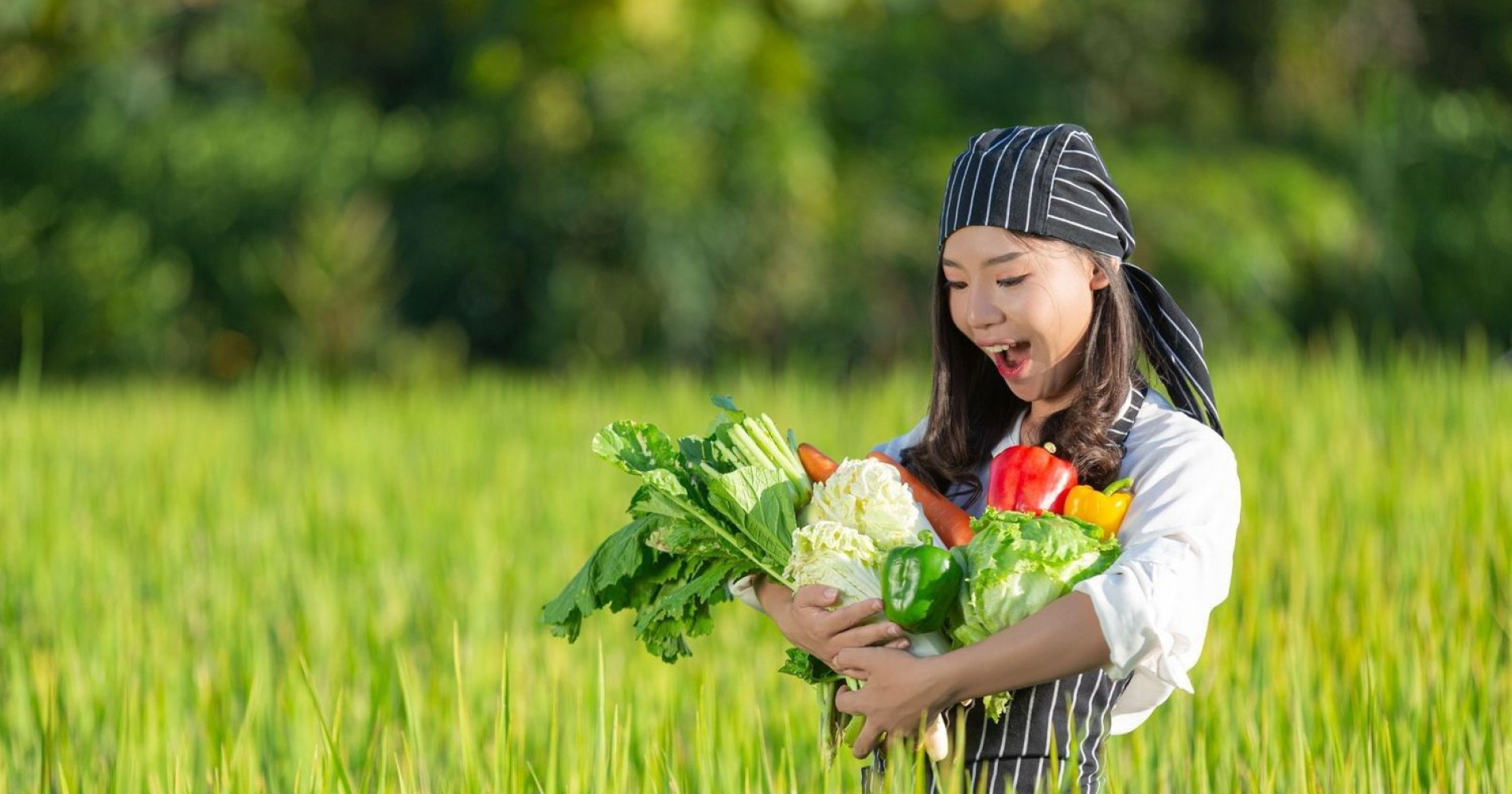 Petani Modern: Agroteknologi dan Prospek Kerja yang lebar (sumber: freepik.com) Petani Modern: Agroteknologi dan Prospek Kerja yang lebar (sumber: freepik.com)