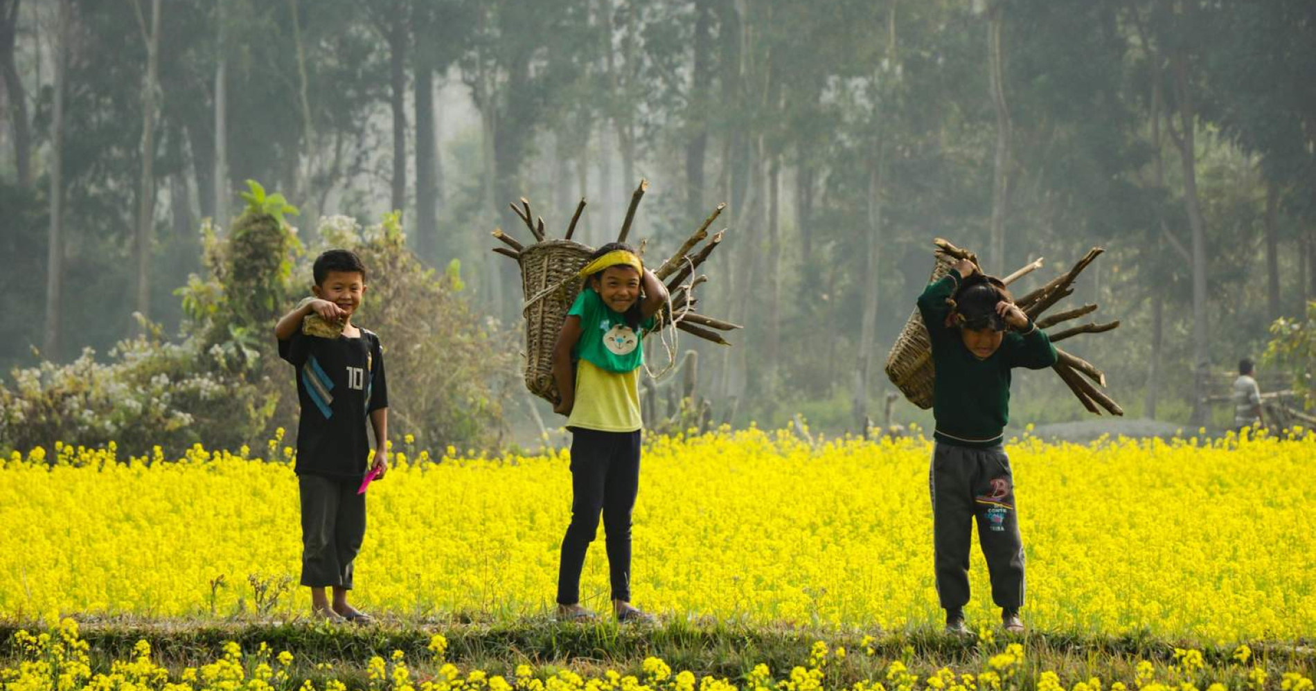 Apakah petani akan hilang ? (Sumber:freepik.com)