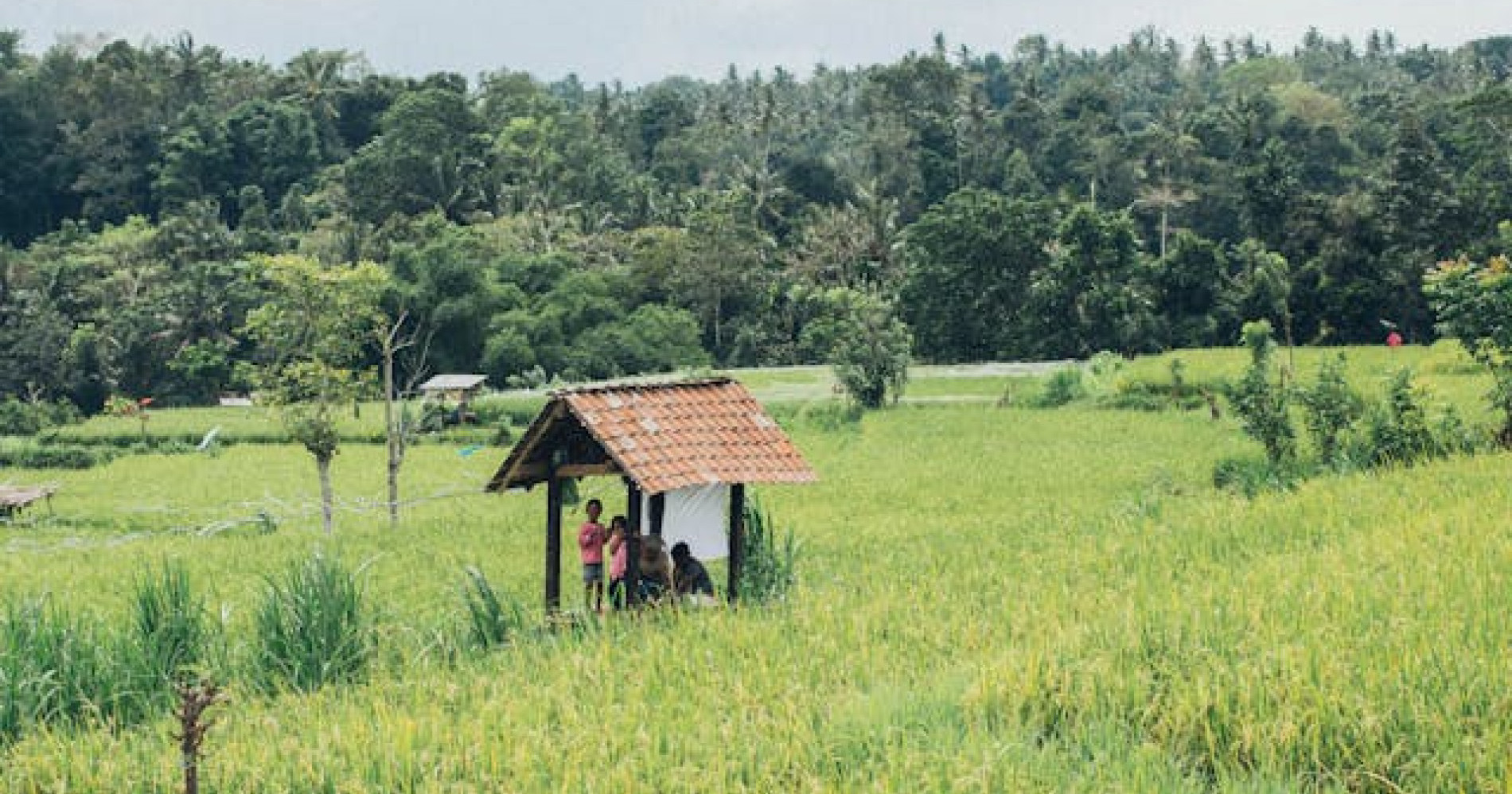 Harmonisasi Senyum Dan Tawa Lepas : Rehat Sebentar Untuk Melepas Lelah Hasil Bertani Bersama Para Sahabat Kebun. Sumber Foto :  Foto oleh Elina Sazonova (https://www.pexels.com)