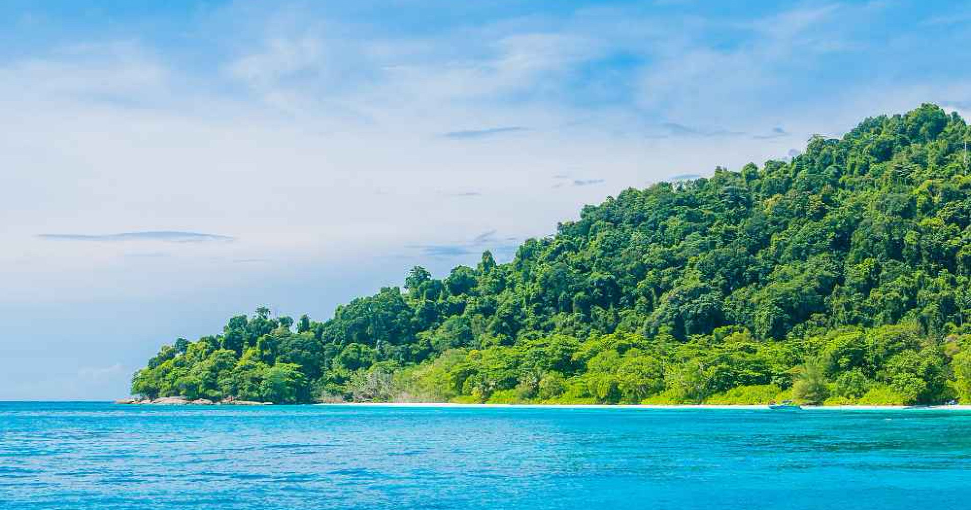 Jaga wilayah pesisir (Foto Freepik.com)