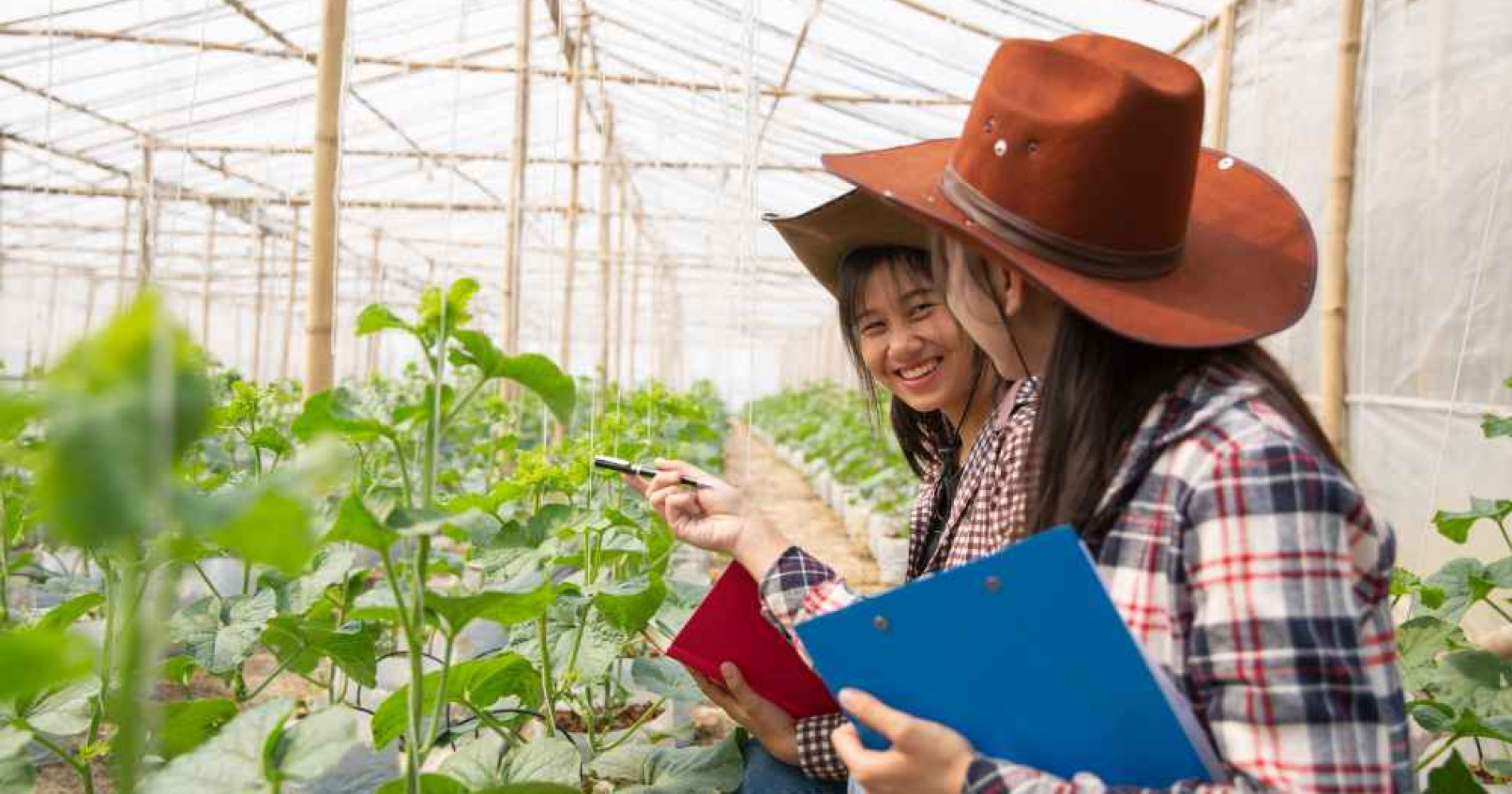 5 kegiatan yang bisa tambah cuan untuk mahasiswa pertanian (Foto Freepik.com)