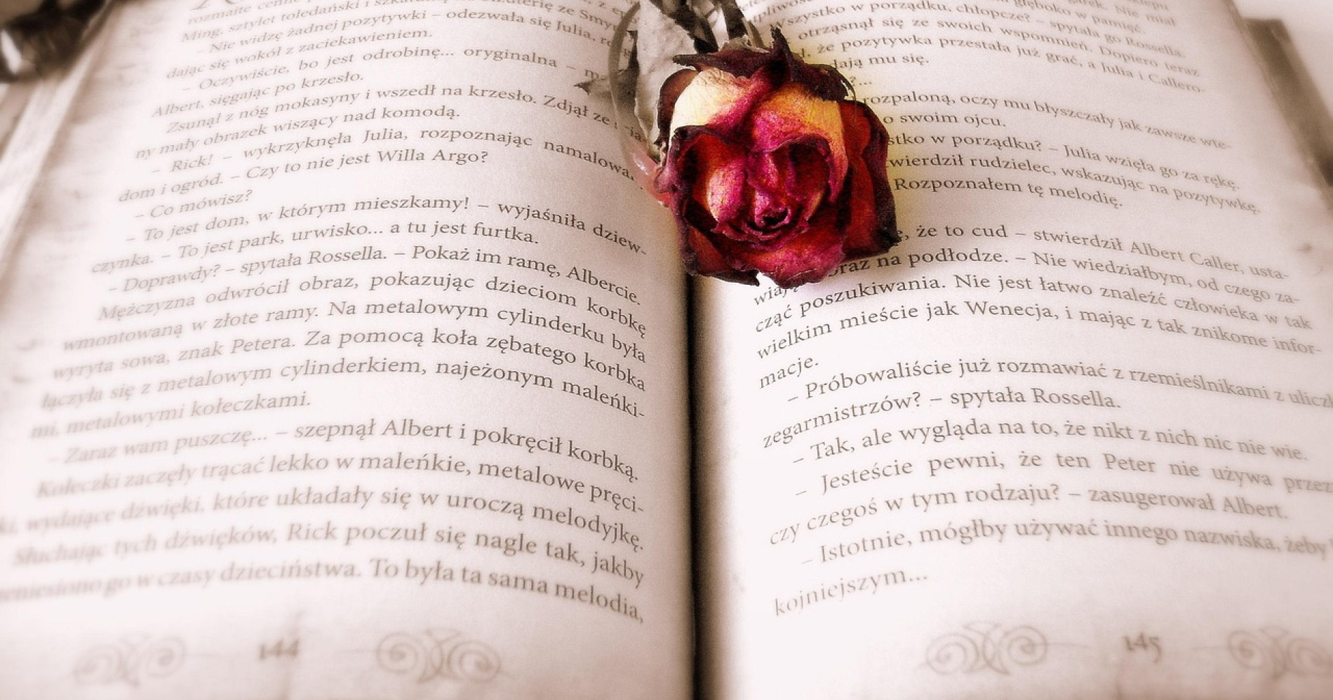 Ide bisnis untuk kutu buku (Sumber : Pixabay.com) Ide bisnis untuk kutu buku (Sumber : Pixabay.com)