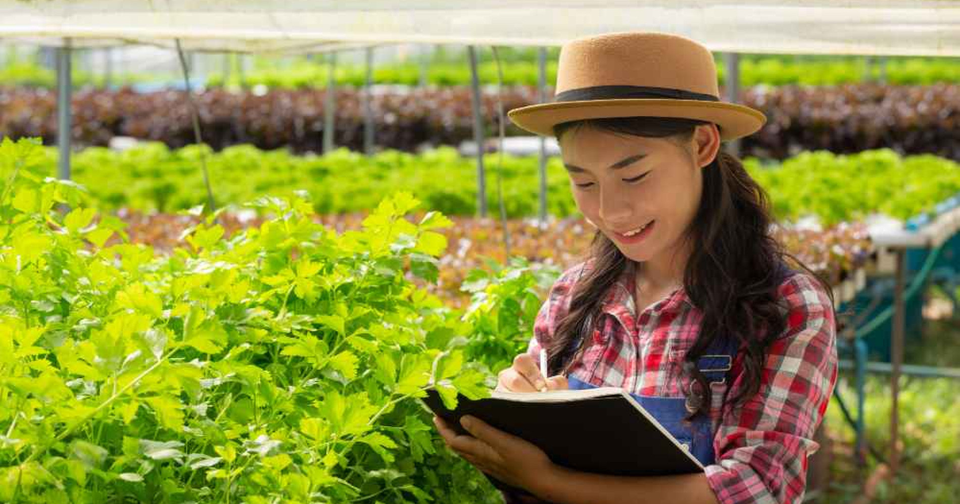 Pentingnya literasi dalam meningkatkan kualitas SDM dalam pertanian (Foto Freepik.com) Pentingnya literasi dalam meningkatkan kualitas SDM dalam pertanian (Foto Freepik.com)