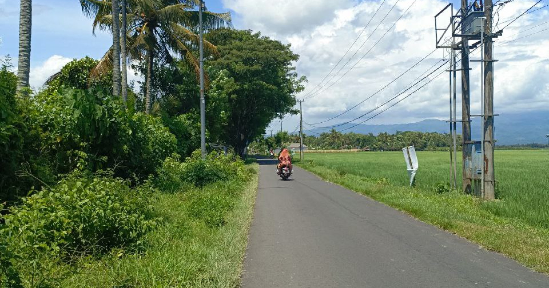 Suasana Asri Desa Sumber Agung di Jember, Jawa Jawa Timur Suasana Asri Desa Sumber Agung di Jember, Jawa Jawa Timur