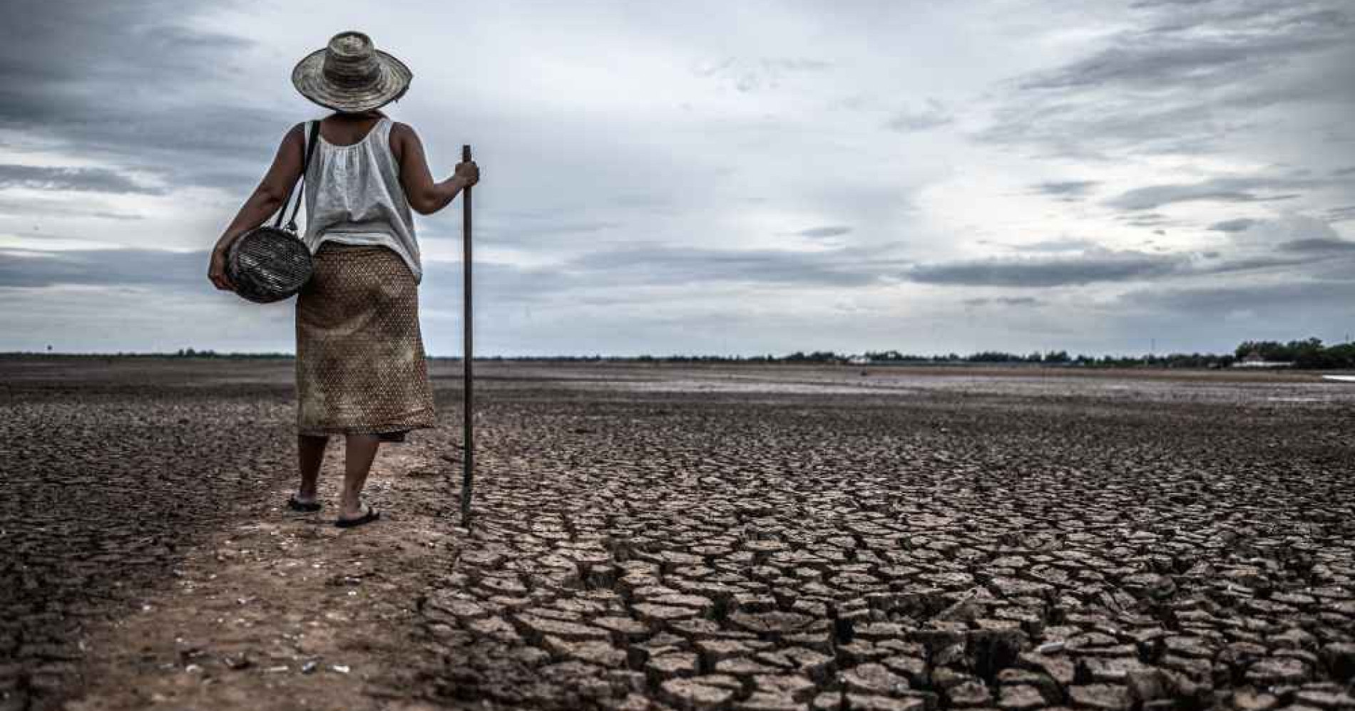 Musim paceklik, bagaimana cara mengantisipasinya? (Foto Freepik.com)