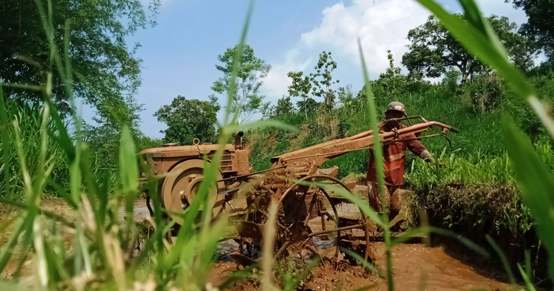 Proses Pengolahan Sawah dengan Menggunakan Traktor (Sumber Gambar: Koleksi Pribadi Penulis) Proses Pengolahan Sawah dengan Menggunakan Traktor (Sumber Gambar: Koleksi Pribadi Penulis)