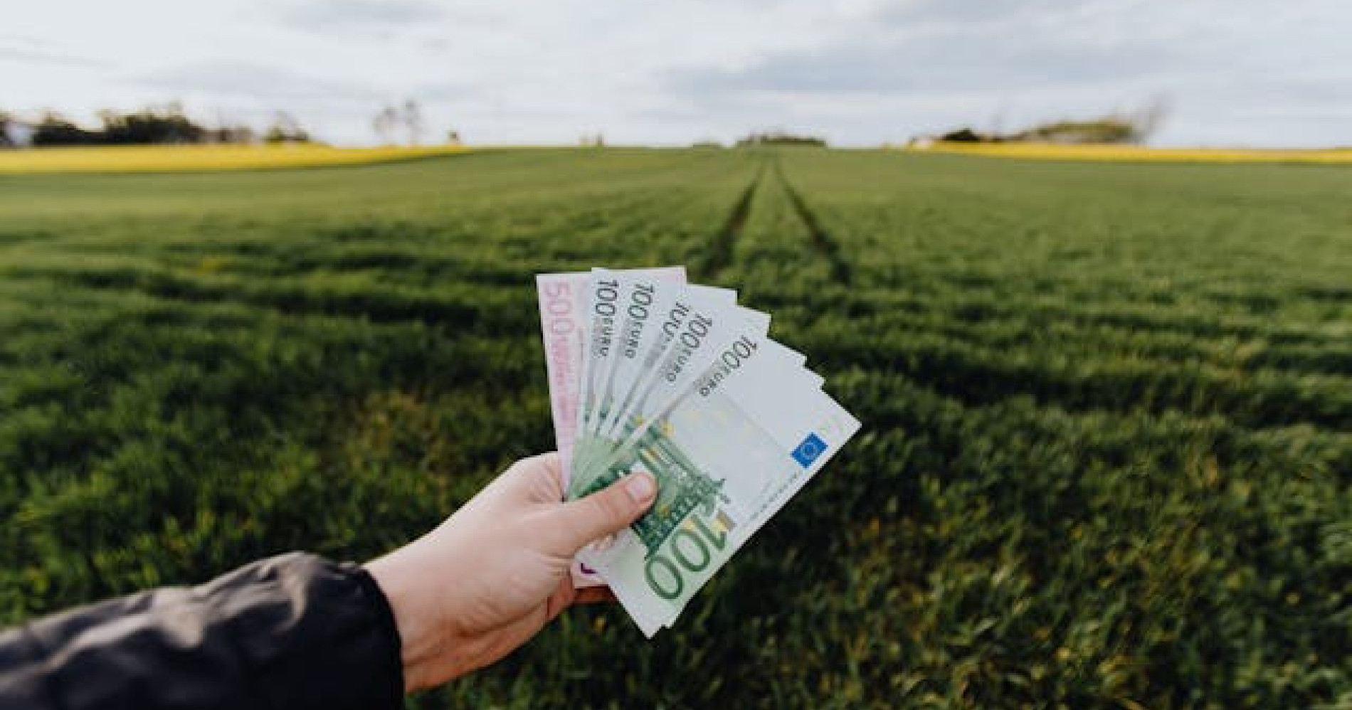 Peran penting pendampingan keuangan bagi petani (Sumber gambar : pexels.com) Peran penting pendampingan keuangan bagi petani (Sumber gambar : pexels.com)