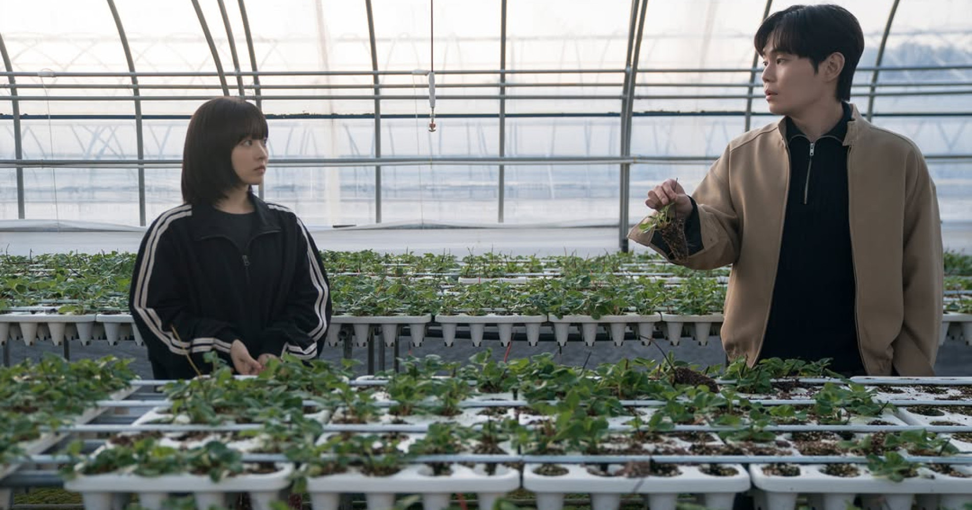 Ilustrasi Petani Strawberry Mi Rae dan Se Jin dalam Drama Our Unwritten Seoul (Soompi/TVN) Ilustrasi Petani Strawberry Mi Rae dan Se Jin dalam Drama Our Unwritten Seoul (Soompi/TVN)