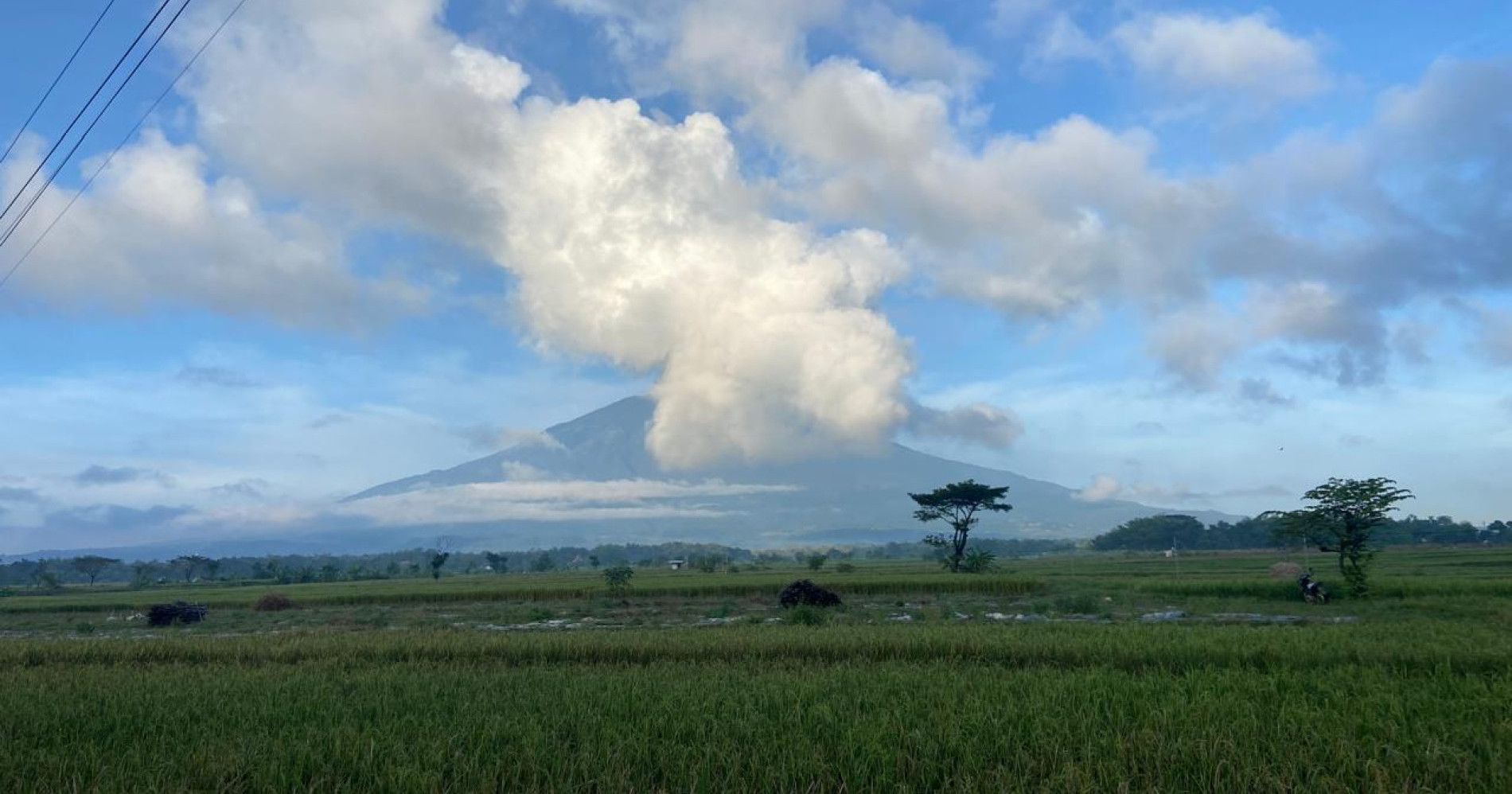 Potret sawah (Dokumen Pribadi Penulis) Potret sawah (Dokumen Pribadi Penulis)