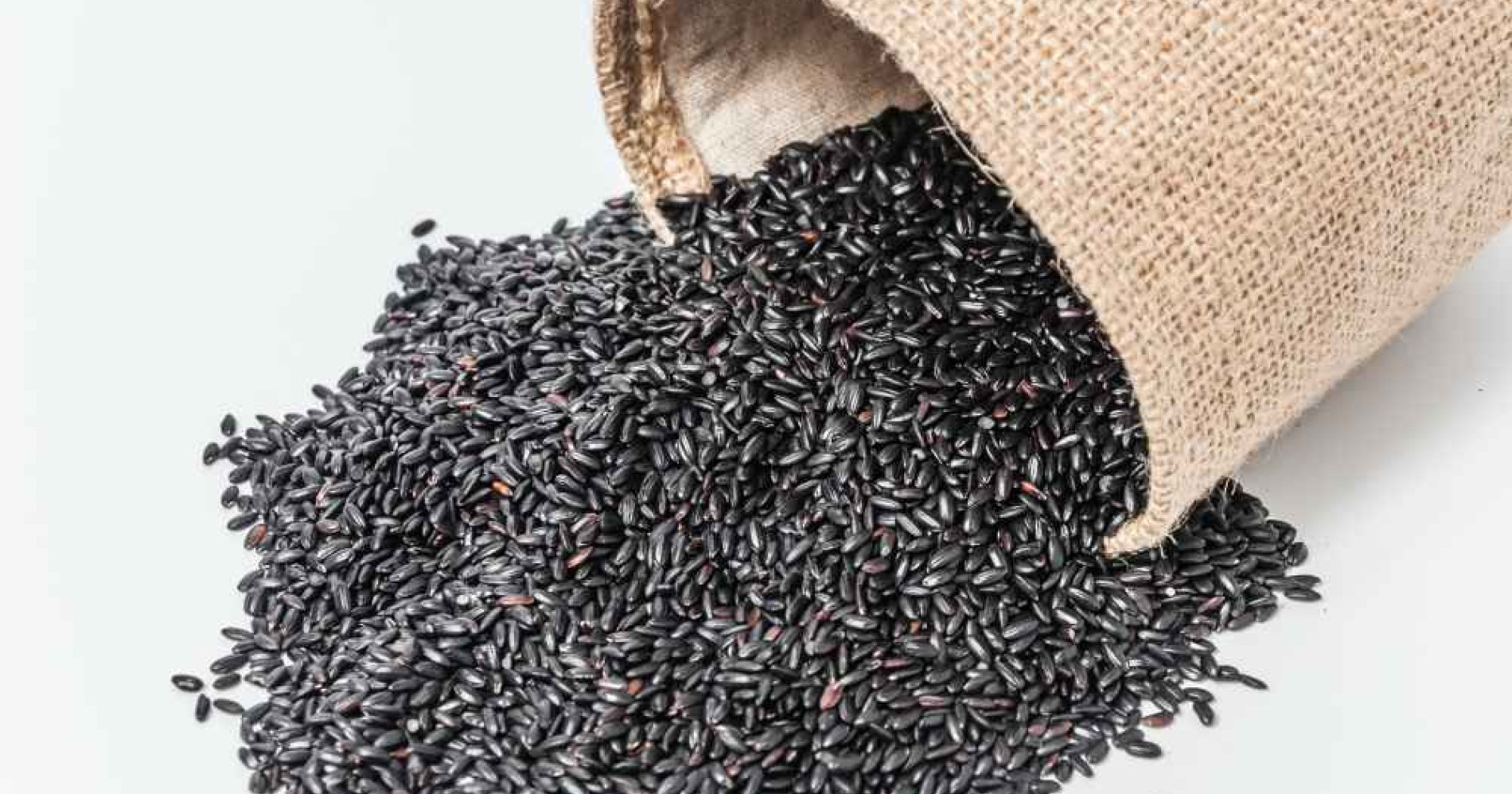 Beras Hitam Jeliteng Biofortifikasi (Freepik.com) Beras Hitam Jeliteng Biofortifikasi (Freepik.com)