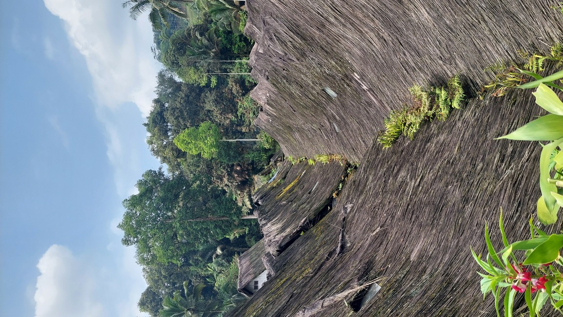 Atap rumah pun dirancang dengan seksama [Dokumentasi Pribadi]