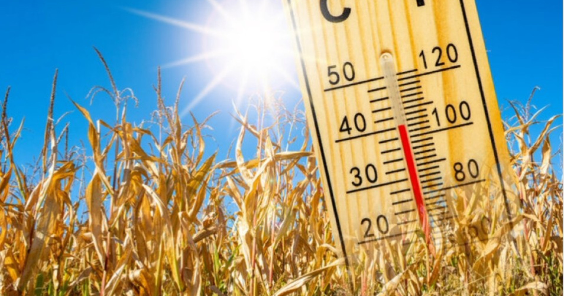 Fenomena Excessive Heat, dan 7 Strategi Menghadapinya. Sumber Gambar Adobe Express