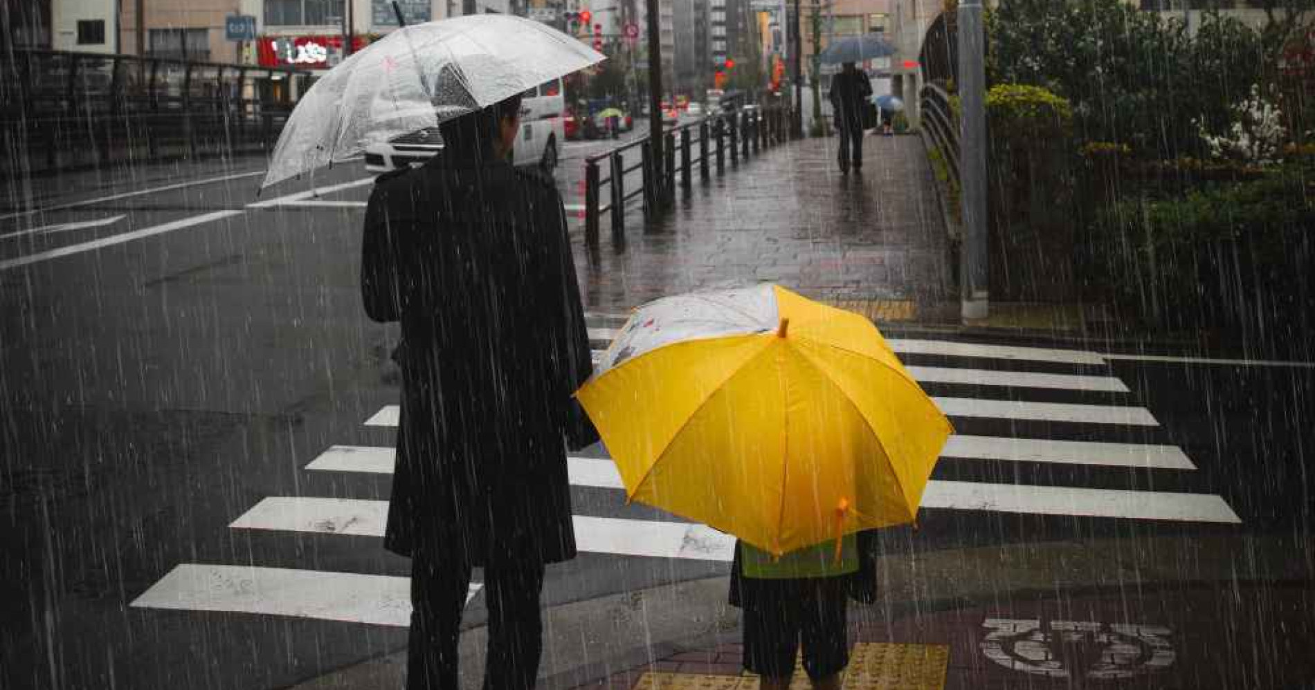 Stater Pack Jaga Kesehatan di Tengah Anomali Cuaca (Foto Freepik.com) Stater Pack Jaga Kesehatan di Tengah Anomali Cuaca (Foto Freepik.com)