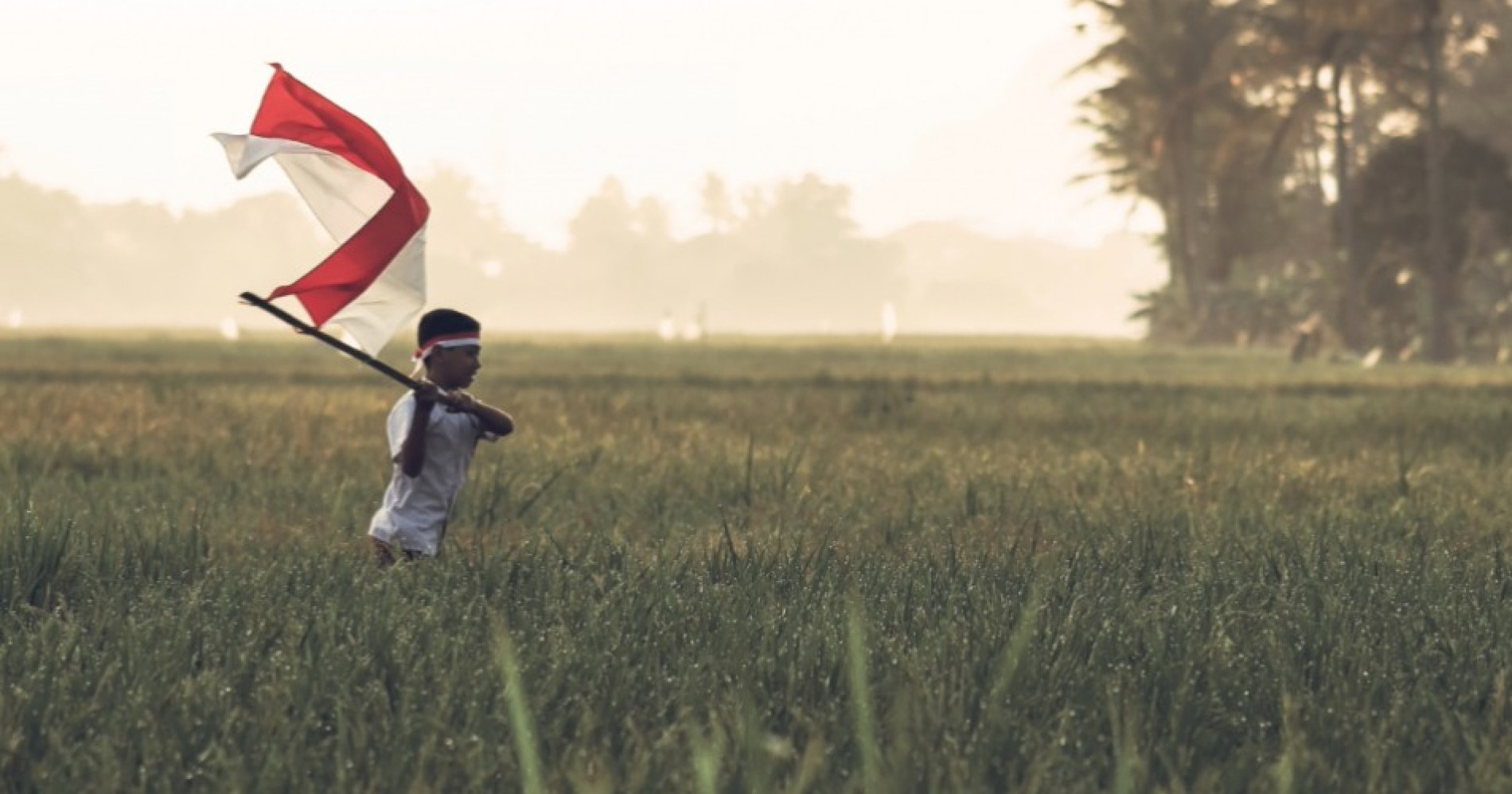 Peringatan Sumpah Pemuda, 3 Nilai yang Bisa Dipelajari. Sumber Gambar Adobe Express