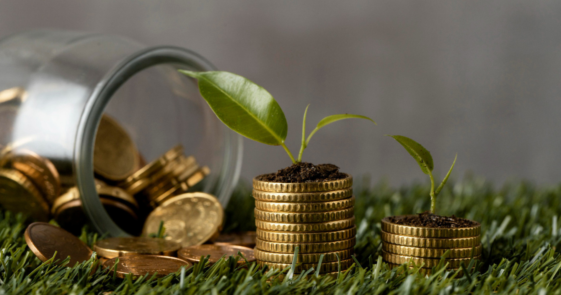 Ilustrasi sustainable finance atau keuangan berkelanjutan (Sumber gambar : freepik.com)