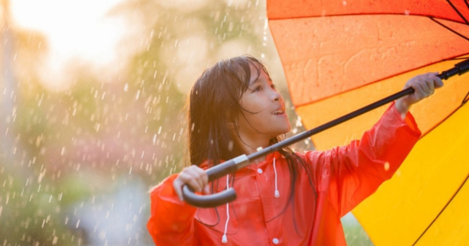 6 Tips Liburan di Musim Hujan Tetap Seru dan Anti Gagal. Sumber gambar Adobe Express