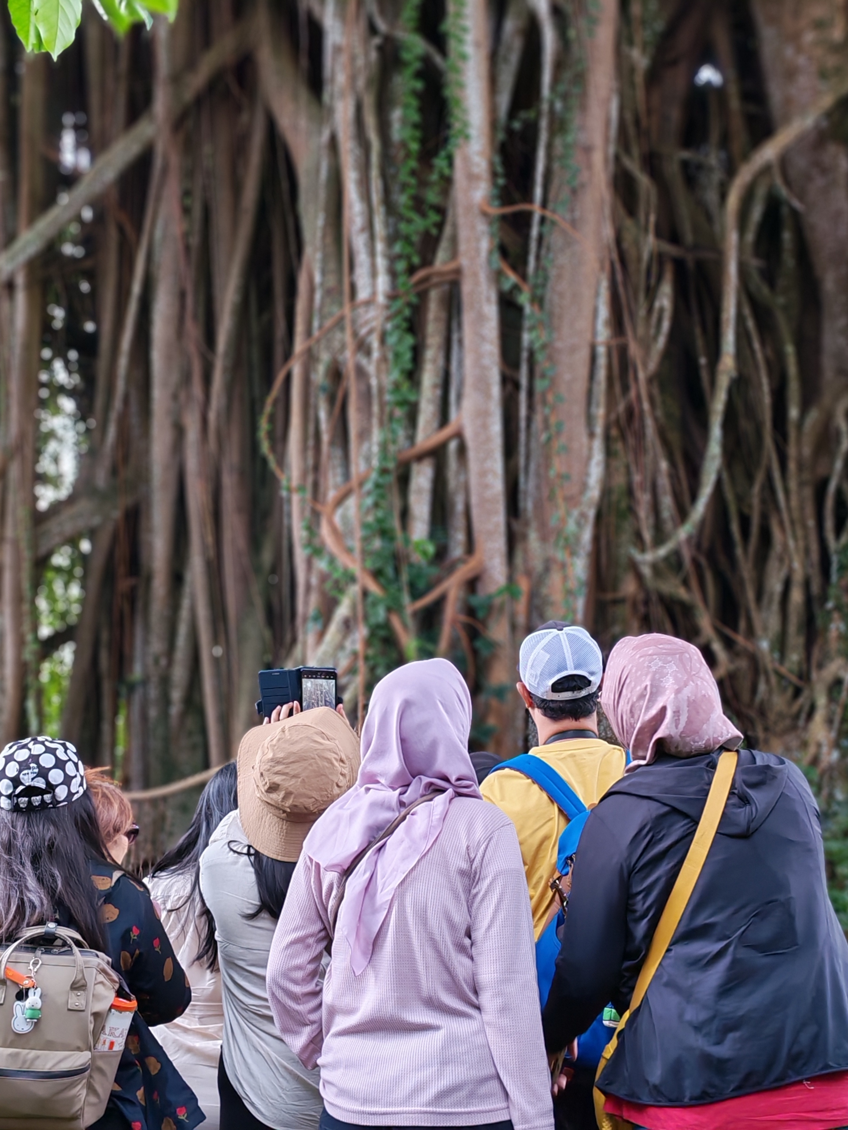 Berdiri di hadapan beringin raksasa di bekas Hotel Sindanglaya, Cipanas [Dokumentasi Pribadi]