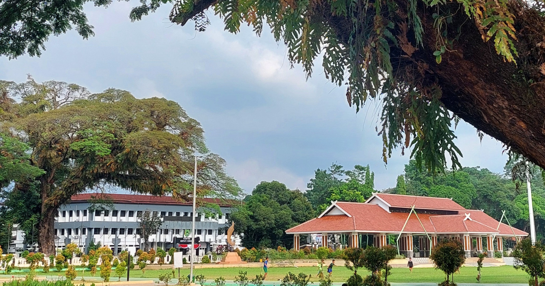 Manfaat pohon beringin di masa lampau [Dokumentasi Pribadi]