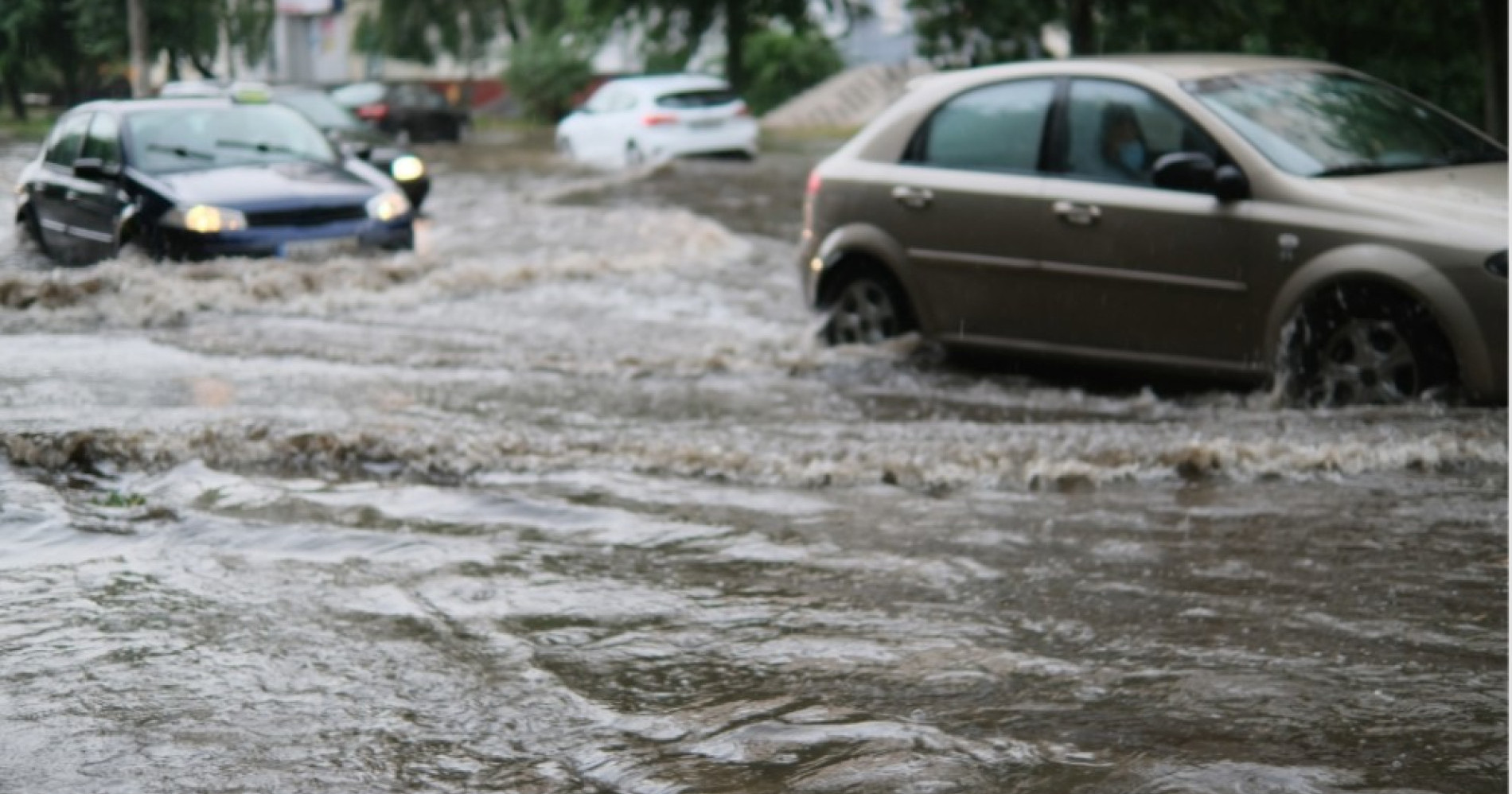 7  Langkah Strategis Mitigasi Banjir di Rumah dan Kantor. Sumber Gambar Adobe Express