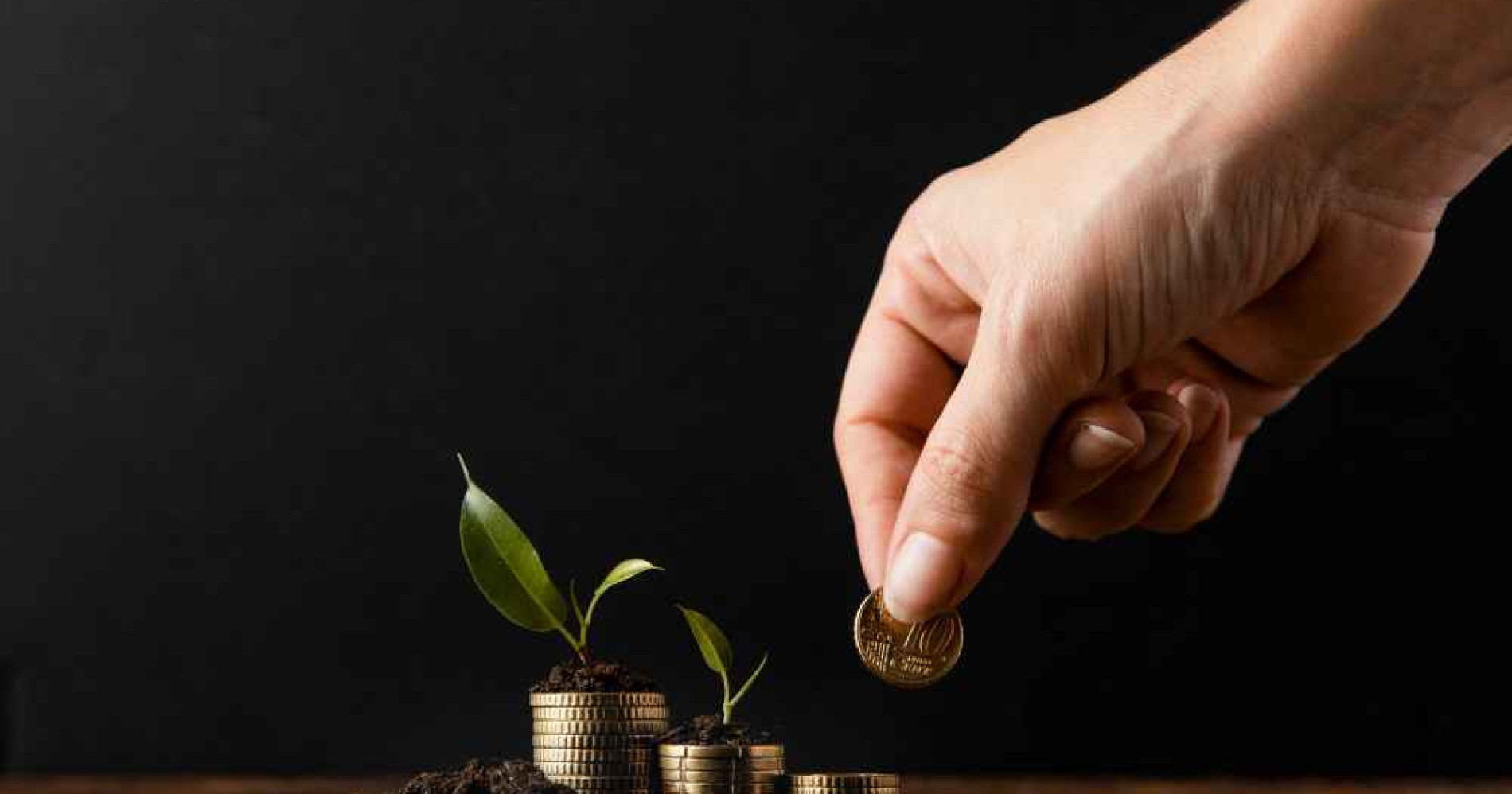 Ilustrasi Instrumen Investasi yang Aman untuk Ibu Rumah Tangga (Foto Freepik.com)