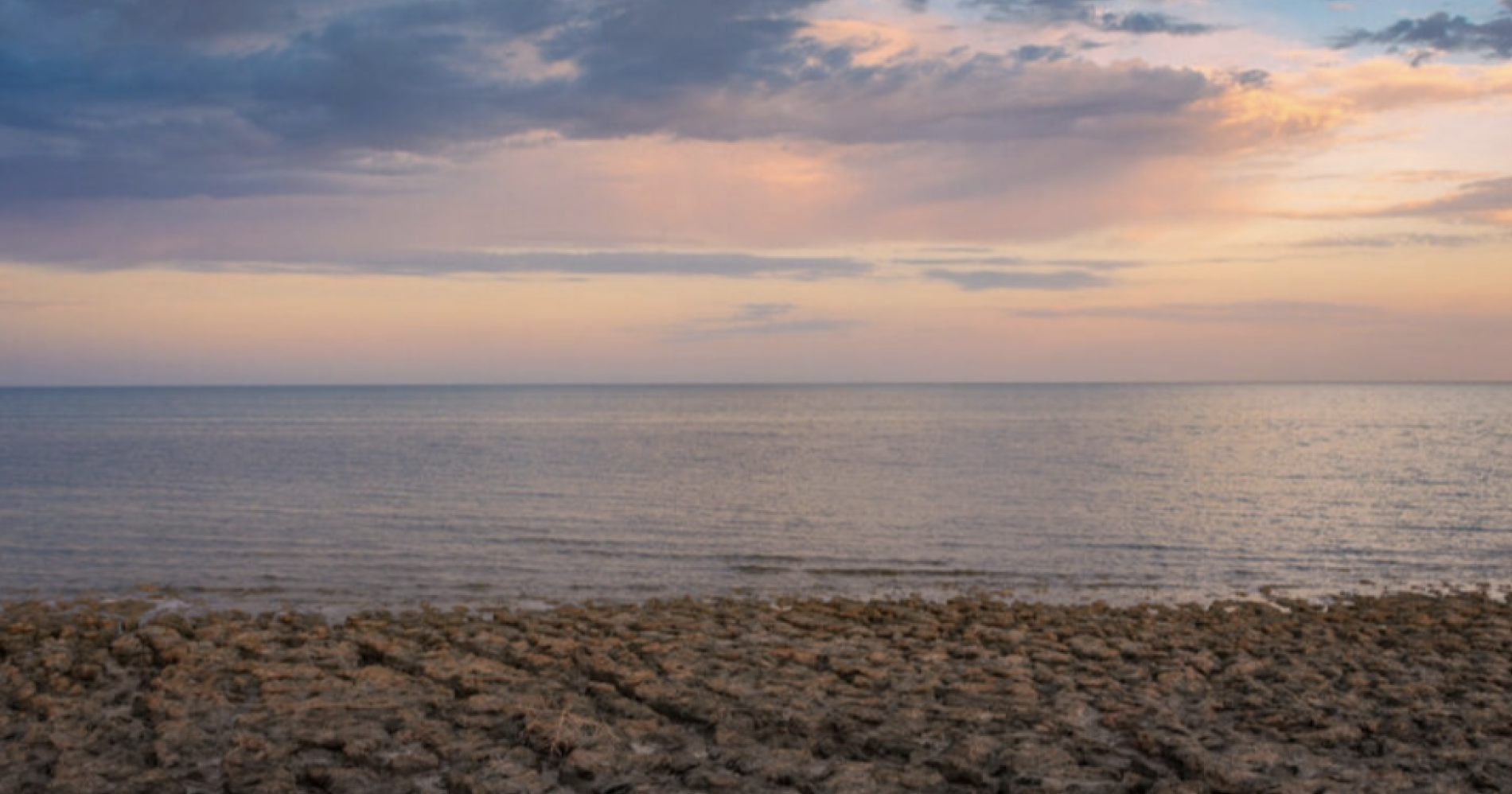 Apa Itu El Nino Godzilla? Dampak dan 5 Sisi Positifnya bagi Indonesia. Sumber Gambar Adobe Express