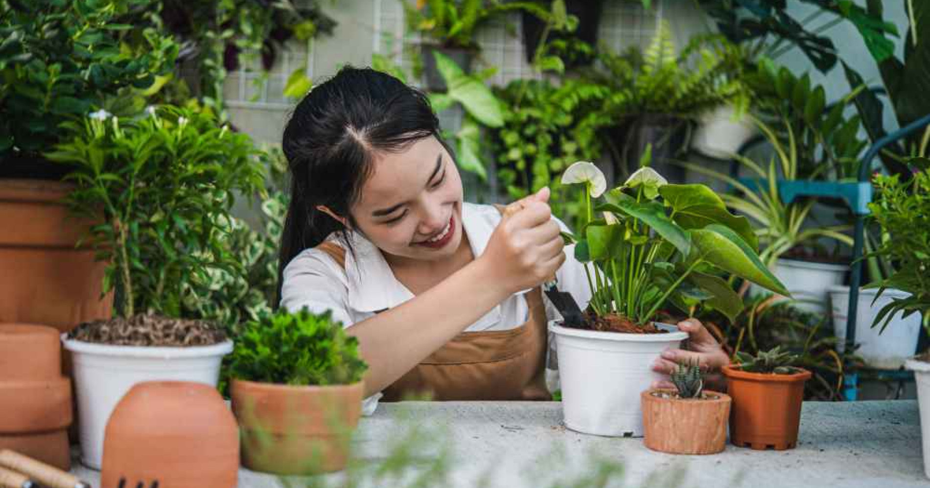 ilustrasi berkebun untuk menangkal cuaca panas (Foto Freepik.com)