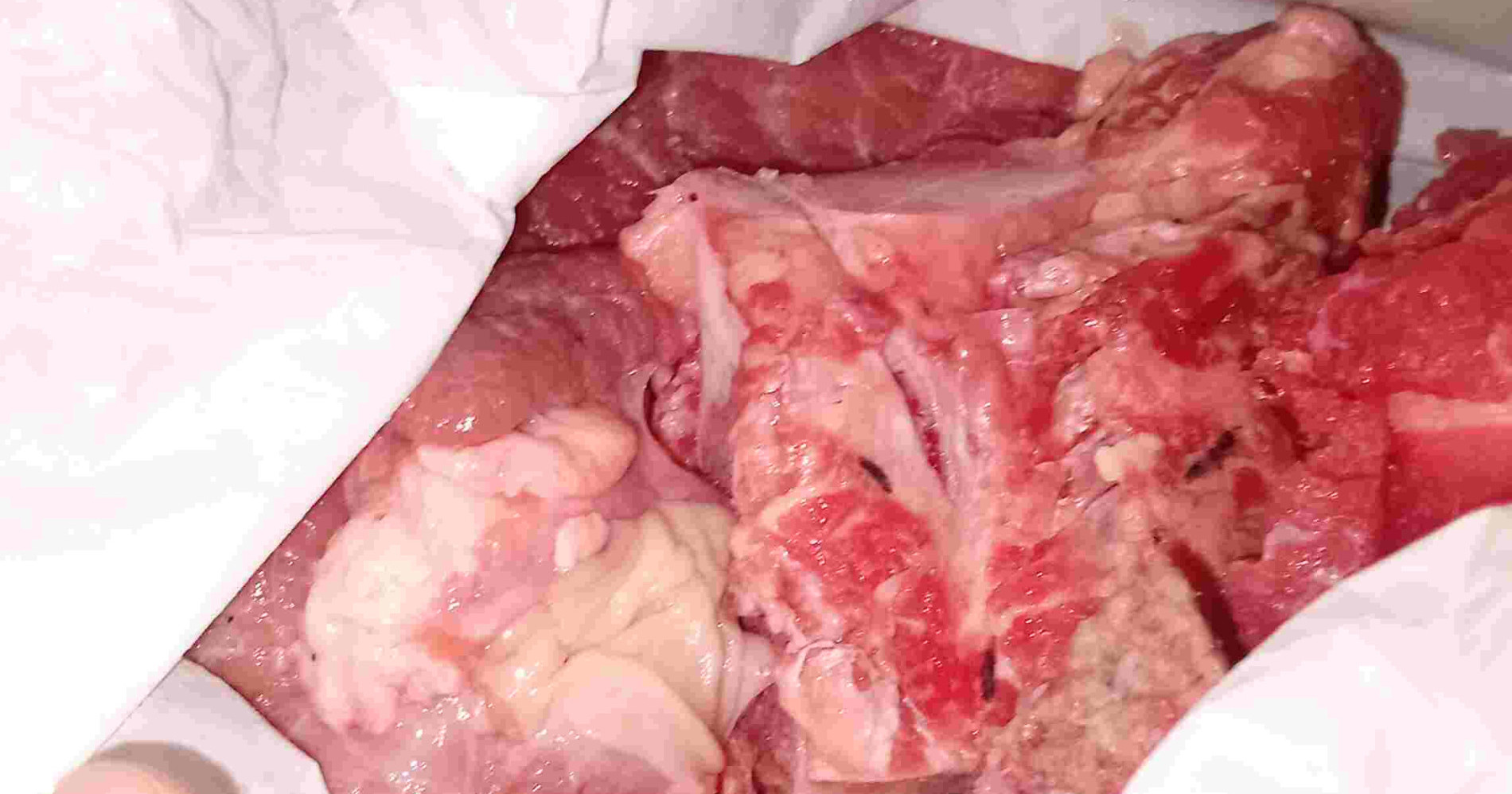 Daging kurban/Dokumentasi pribadi