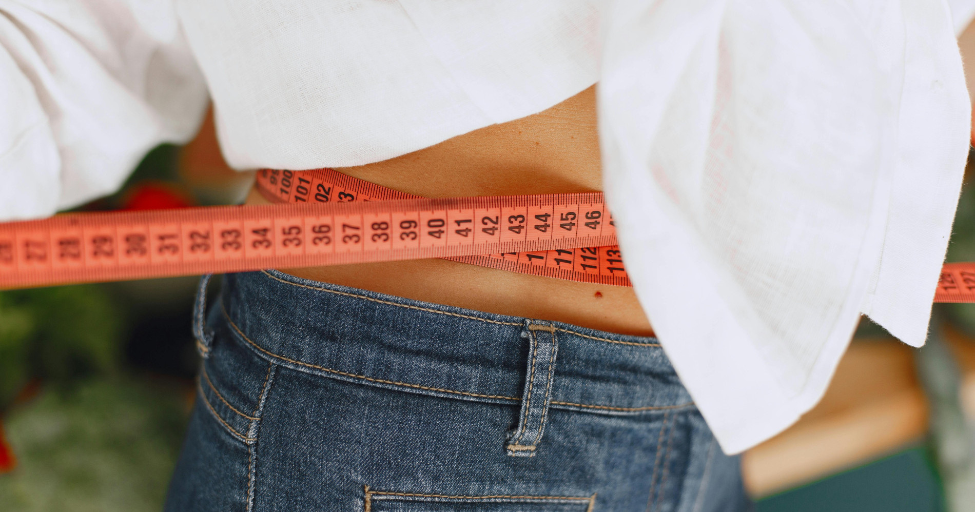 Diet idol (Sumber gambar: Pexels)