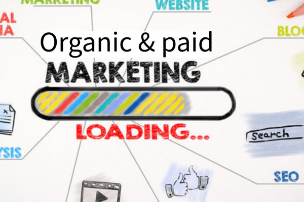 Organic Marketing atau Paid Marketing, Kenali Jenisnya Sebelum Memilih