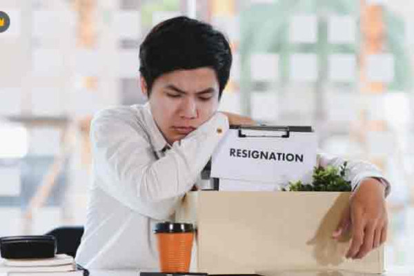 Bisnis Muda