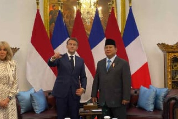 Bisnis Muda