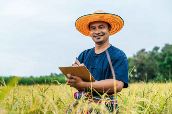 Bisnis Muda