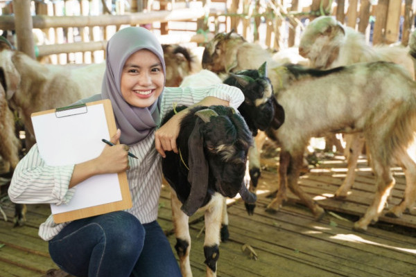 Bisnis Muda