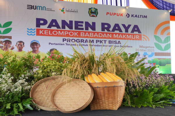 Bisnis Muda