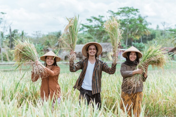 Bisnis Muda