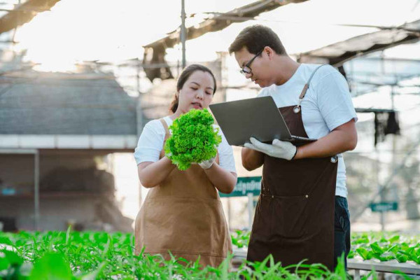 Bisnis Muda