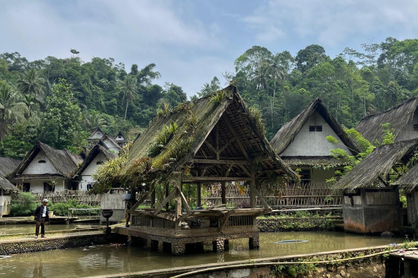 Bisnis Muda