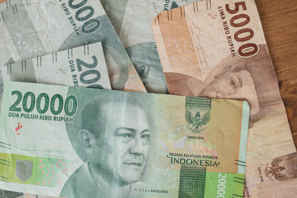 Bisnis Muda